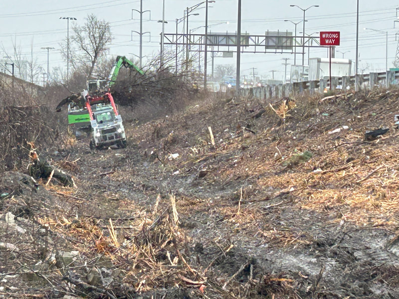 tree removal along the I-94 northbound exit ramp